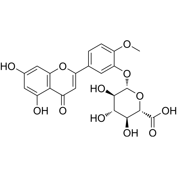 Diosmetin-3-O-glucuronide 152503-50-9